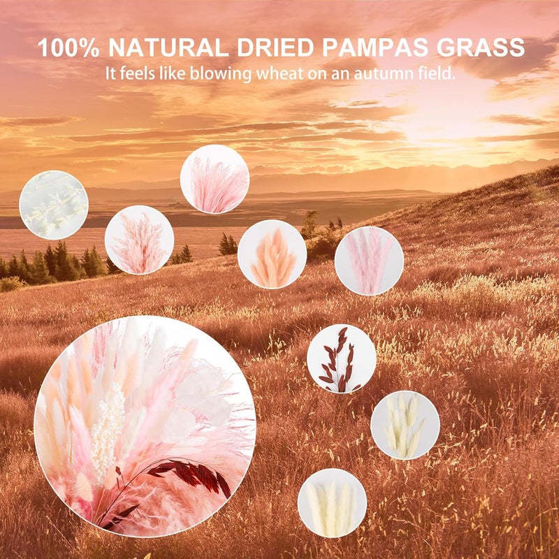 NT NIETING N&T NETING 85Pcs Pink Pampas Grass Decor, Natural Dried Floral Pampas Grass, Boho Home Decor, Fluffy Dried Pompas Grass for Home Wedding Boho Beach Theme Bedroom Decor - Image 3