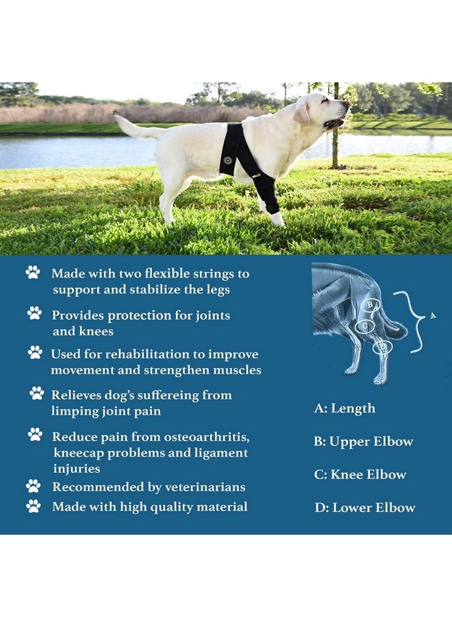 Generic Large Breathable Dog Knee Brace for Torn ACL Legs - Easy to Use, Neoprene Dog Leg Braces for Back Leg - ACL Brace for Dogs, Helps Reduce Pain and Heal Injuries - Image 2