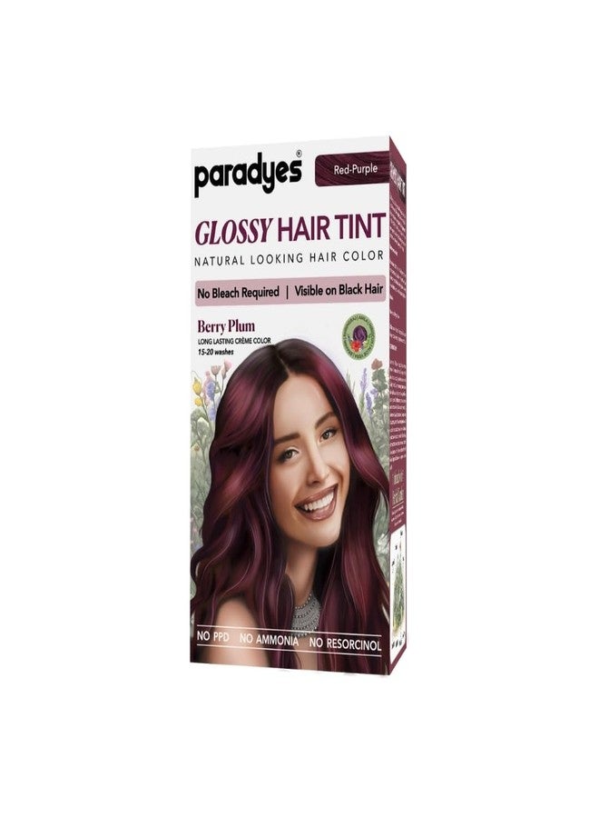 Paradyes Mini Berry Plum Glossy Hair Tint | No Bleach, Ammonia-Free | Trial Pack Perfect for Testing or Small Sections | Visible on Black Hair - Image 1