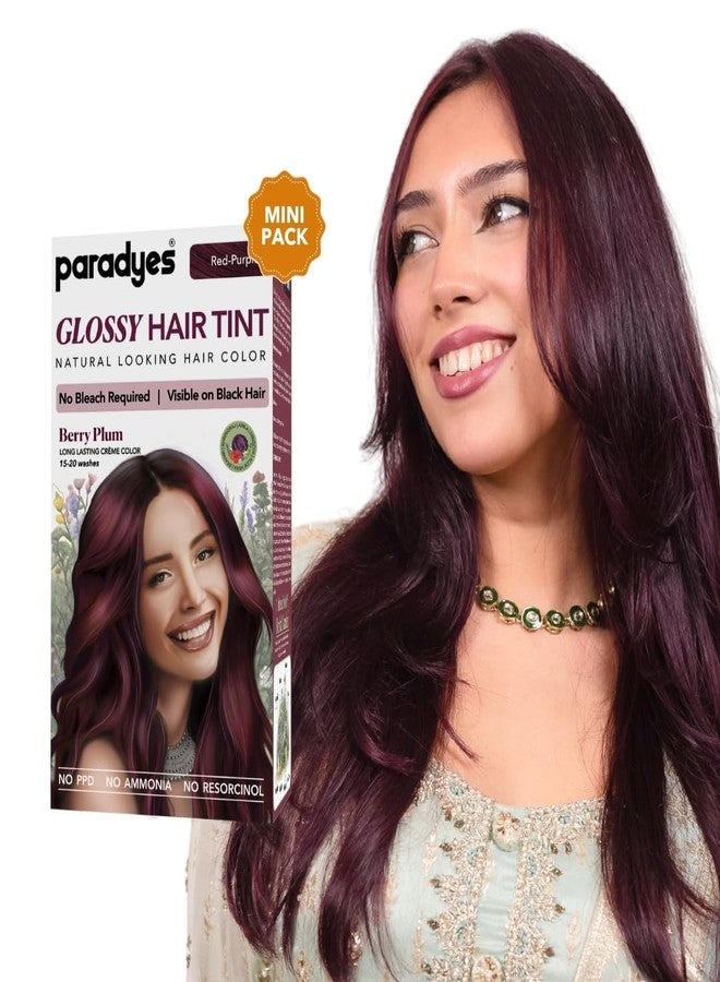 Paradyes Mini Berry Plum Glossy Hair Tint | No Bleach, Ammonia-Free | Trial Pack Perfect for Testing or Small Sections | Visible on Black Hair - Image 2
