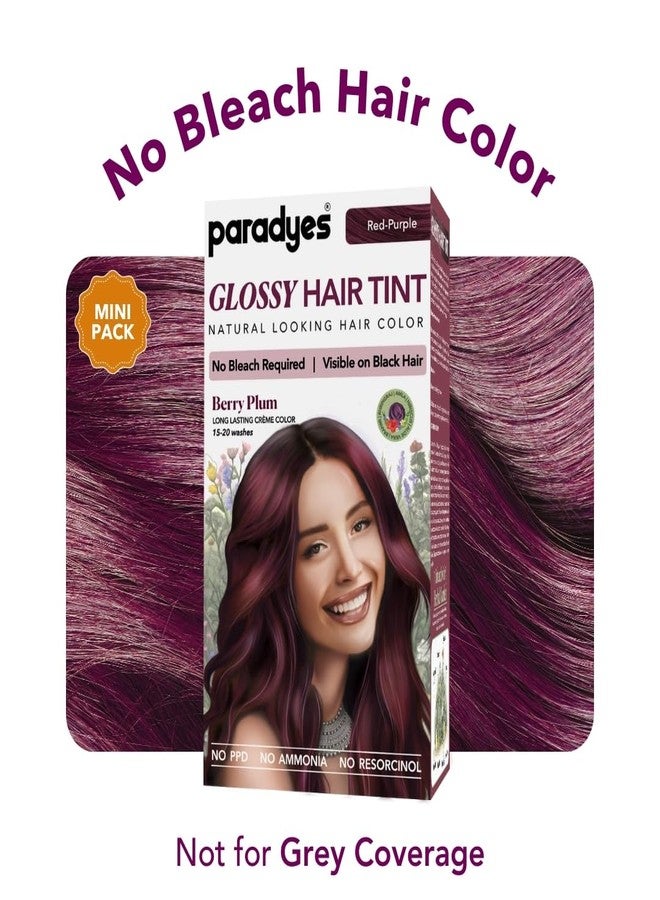 Paradyes Mini Berry Plum Glossy Hair Tint | No Bleach, Ammonia-Free | Trial Pack Perfect for Testing or Small Sections | Visible on Black Hair - Image 3