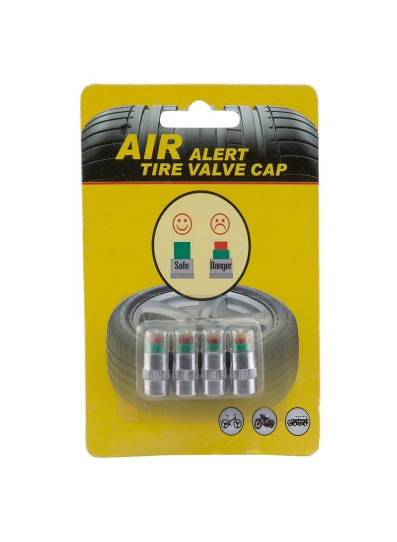 Autoplus Tire Pressure Monitor Valve Cap Pack Of 4