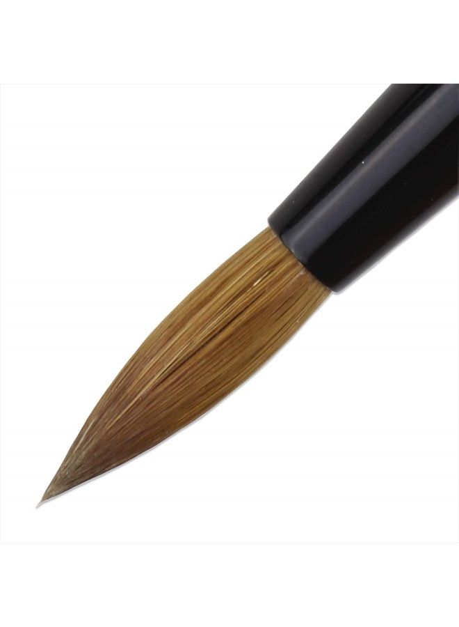 Pana Professional Purple Wood Kolinsky Acrylic Nail Brush (Size: 6, 8, 10, 12, 14, 16, 18, 20, & 22) Pana Brand 100% Pure Kolinsky Hair (Size 6) - Image 5