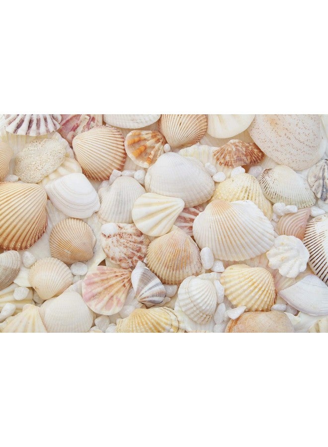 South Beach Crafts Sea Shells For Crafting Mixed Beach Seashells Various Sizes Up To 2" Shells Bag Of Approx (1 Pound 50 Shells)  - Image 1