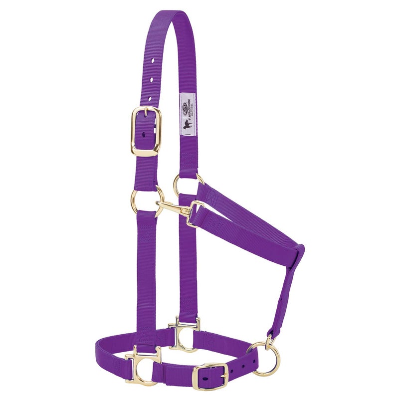 Weaver Equine Weaver Leather Nylon Horse Halter, Padded and Adjustable, Chin and Throat Snap Hook Halters for Horses, Brass Plated Halters for Training - Image 2