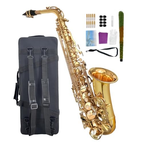 WUQIMUSC Beginner Alto Saxophone, E Flat - Complete Starter Kit with Case & 10 Reeds, for Adults & Students, Easy to Play for School Band & Practice(Gold) - Image 1