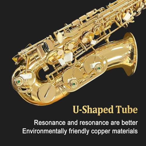 WUQIMUSC Beginner Alto Saxophone, E Flat - Complete Starter Kit with Case & 10 Reeds, for Adults & Students, Easy to Play for School Band & Practice(Gold) - Image 5