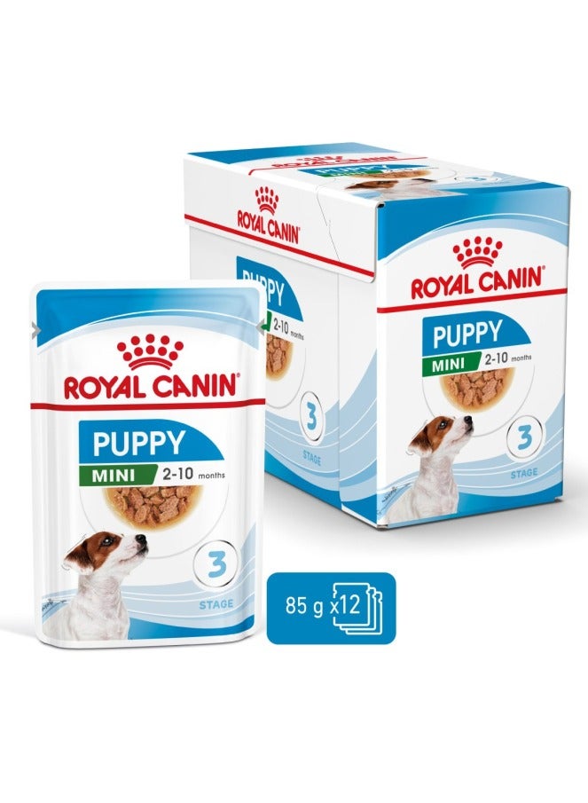رويال كانين Royal Canin, طعام صغير للكلاب الرطبة للكلاب ، 85 جرام ، عبوة من 12 قطعة - Image 3