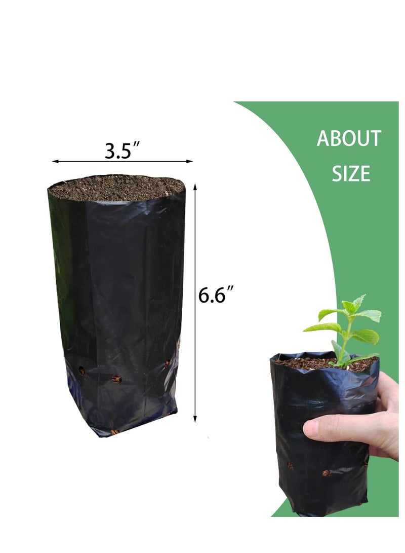 SOLARAE 100 Pcs Plant Nursery Bags, Plastic Seedling Pots Container for Fruit Tree, Flower, Starting saplings, Plant Grow(3.5"x6.6") - Image 5