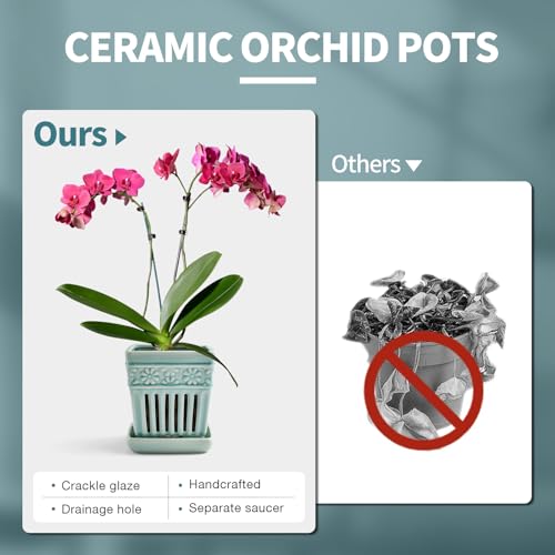 SUADEN Orchid Pots with Holes | 5" Ceramic Orchid Planter with Separate Saucer and Drainage Holes | Crackle Glazed Pottery Small Flower Pot for Repotting Orchids（Blue） - Image 3