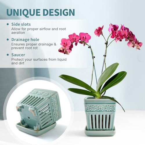 SUADEN Orchid Pots with Holes | 5" Ceramic Orchid Planter with Separate Saucer and Drainage Holes | Crackle Glazed Pottery Small Flower Pot for Repotting Orchids（Blue） - Image 2