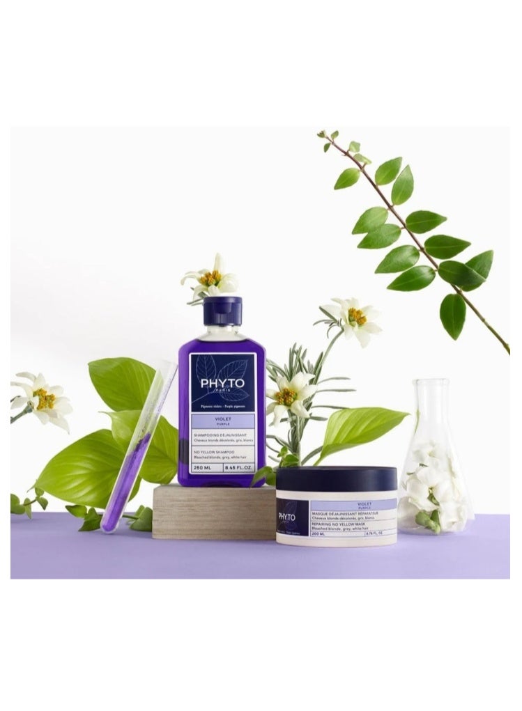 Phyto Paris Purple No Yellow Shampoo 250ml – Blonde & Silver Hair Care - Image 2