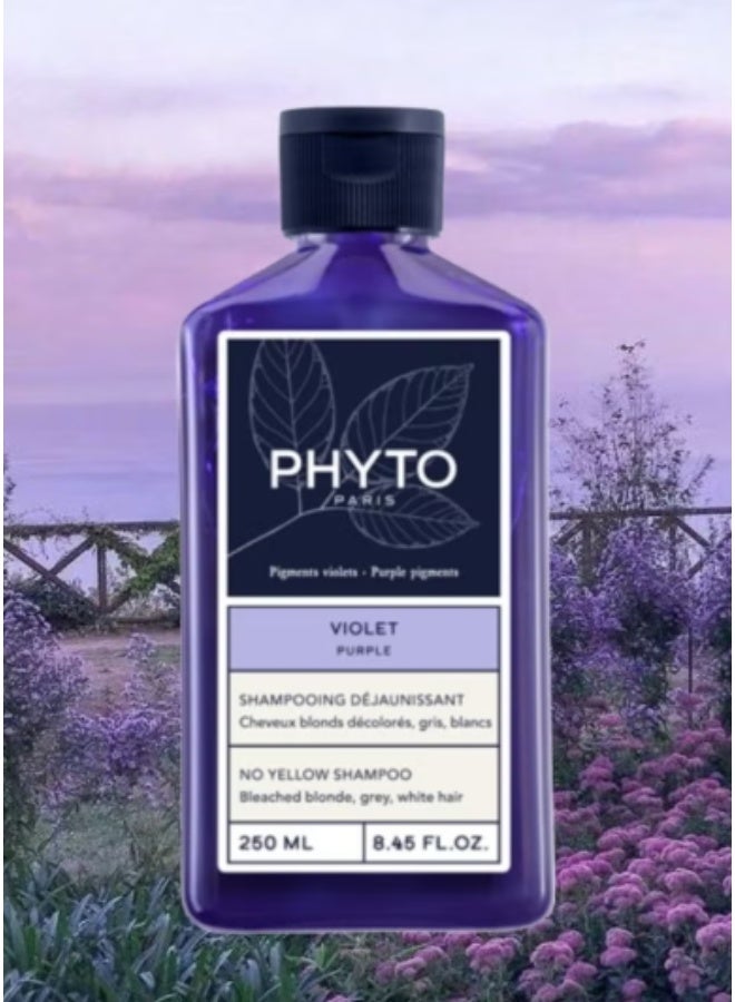Phyto Paris Purple No Yellow Shampoo 250ml – Blonde & Silver Hair Care - Image 5