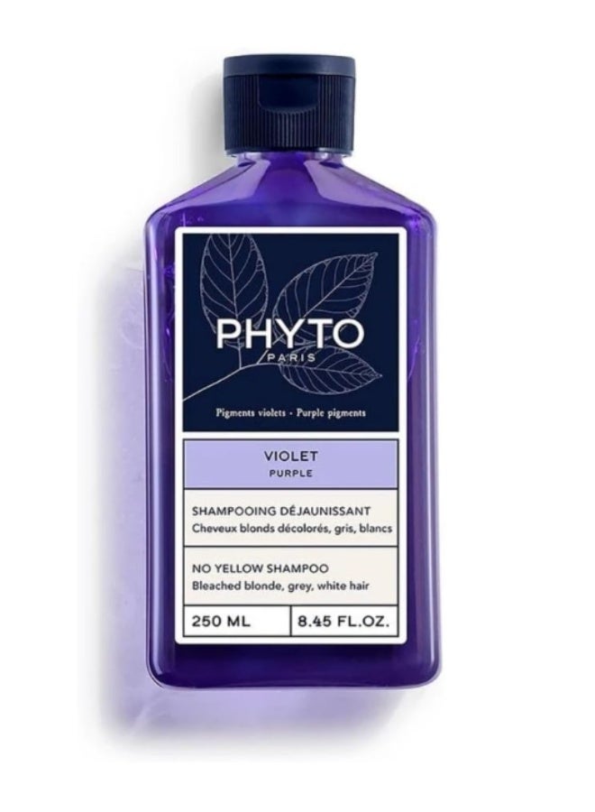 Phyto Paris Purple No Yellow Shampoo 250ml – Blonde & Silver Hair Care - Image 1