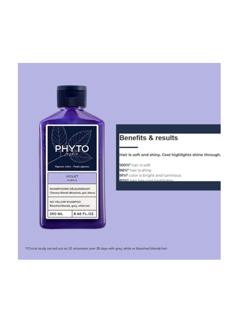 Phyto Paris Purple No Yellow Shampoo 250ml – Blonde & Silver Hair Care - Image 4