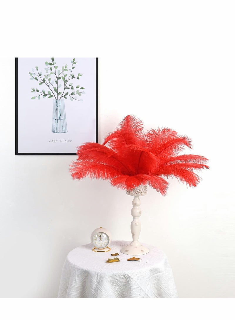Excefore Ostrich Feathers Bulk, Natural 10-12inch 25-30 cm Ostrich Feathers Lamp Wedding Party Centerpieces, Flower Arrangement and Home Decoration (Red) 10 Pcs  - Image 1