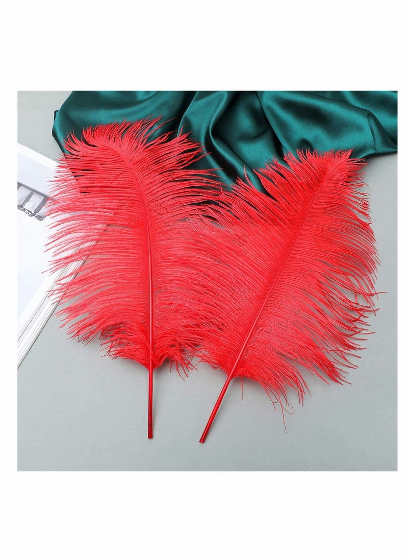 Excefore Ostrich Feathers Bulk, Natural 10-12inch 25-30 cm Ostrich Feathers Lamp Wedding Party Centerpieces, Flower Arrangement and Home Decoration (Red) 10 Pcs  - Image 5