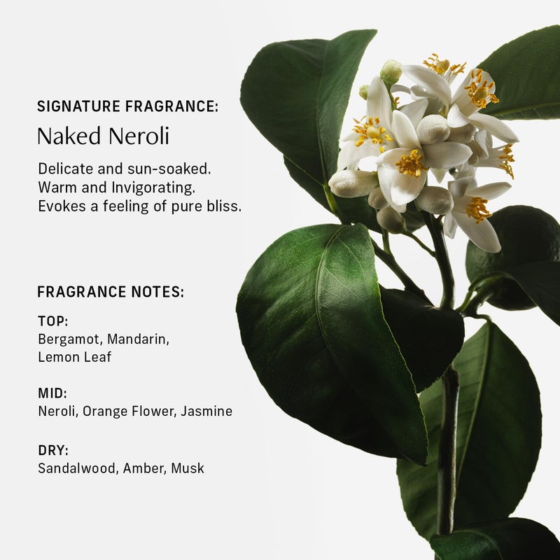 CYKLAR Nutrient Rich Body Cream. Naked Neroli Nourishing Moisturizer with Niacinamide and Banana Flower Extract. Deep Hydration, Thick Body Lotion, Dry Skin Cream for Women and Men, 8 Fl Oz - Image 4