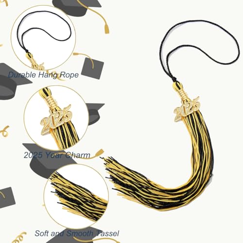 WanBigVa 2025 Graduation Tassels,12Pcs Cap Tassel Decoration with 2025 Year Gold Date Charms,Graduate Gifts for Ceremonies Souvenir High School,Gold - Image 2