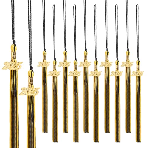 WanBigVa 2025 Graduation Tassels,12Pcs Cap Tassel Decoration with 2025 Year Gold Date Charms,Graduate Gifts for Ceremonies Souvenir High School,Gold - Image 1