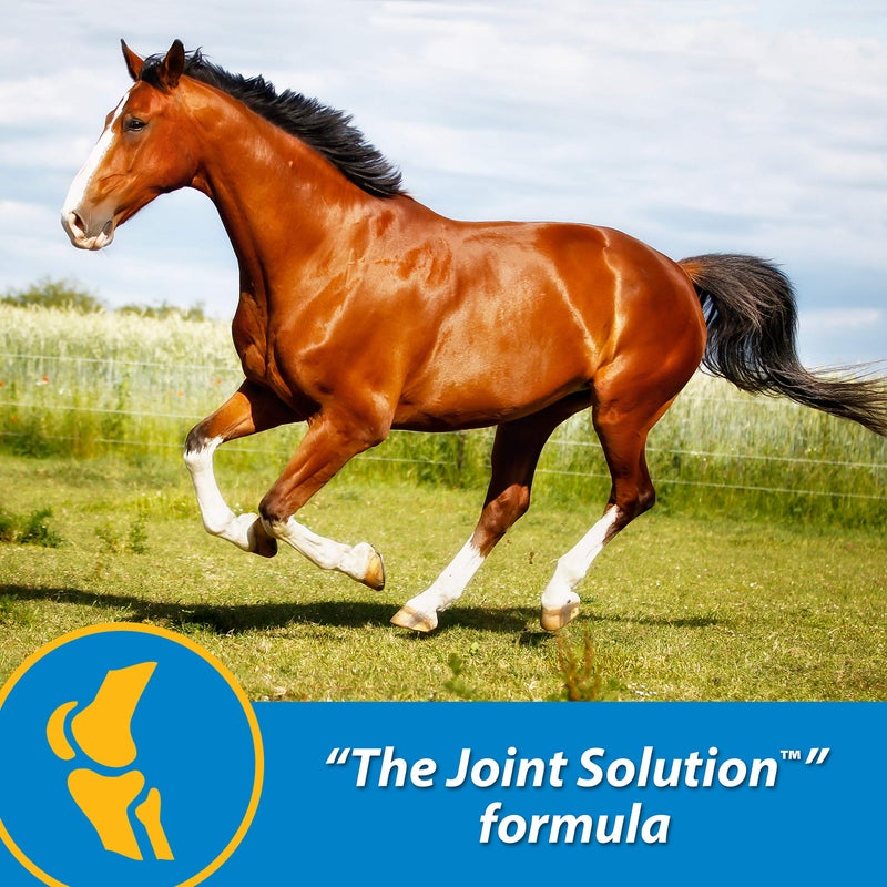 Farnam Fluidflex Liquid Joint Supplement for Horses, Helps maintain healthy hip & joint function, 64 ounces, 64 Day Supply - Image 2