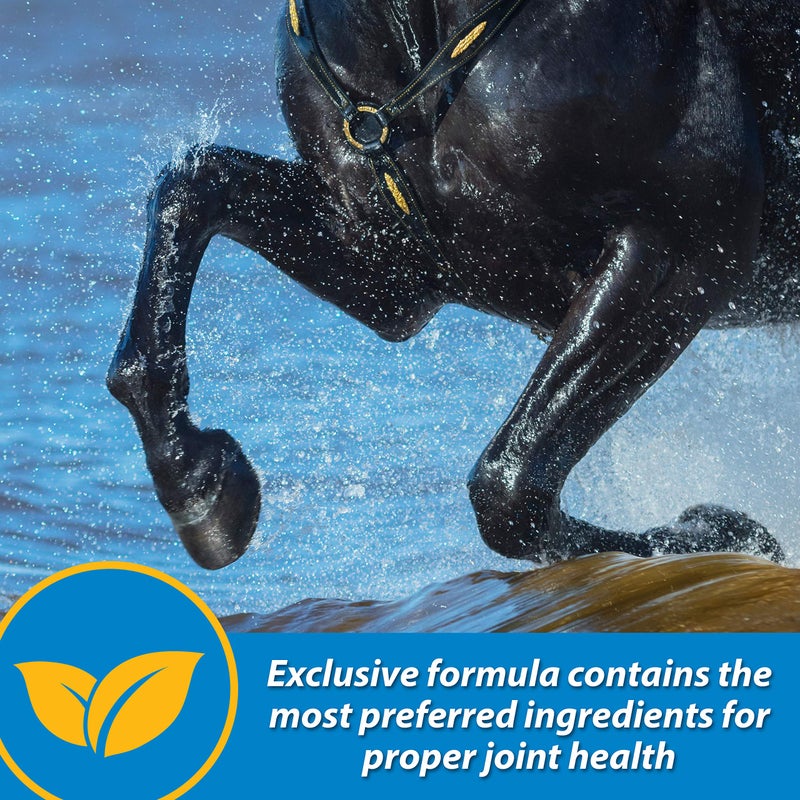 Farnam Fluidflex Liquid Joint Supplement for Horses, Helps maintain healthy hip & joint function, 64 ounces, 64 Day Supply - Image 5