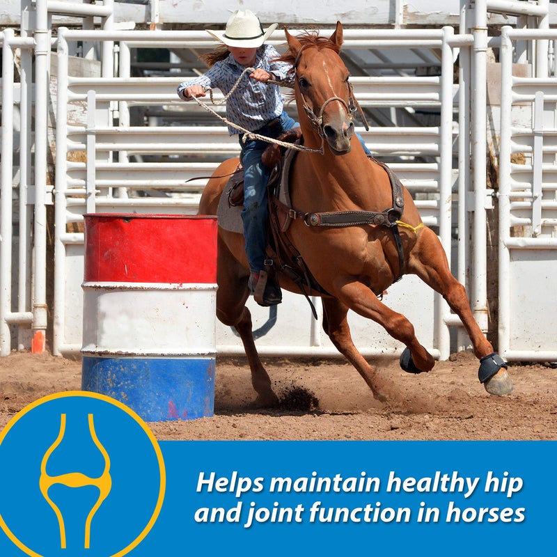 Farnam Fluidflex Liquid Joint Supplement for Horses, Helps maintain healthy hip & joint function, 64 ounces, 64 Day Supply - Image 3