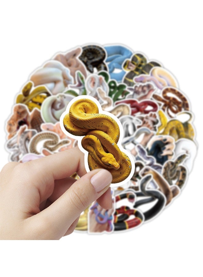 Snake Stickers 50pcs Cute Funny Reptile Animal Snake Stickers Pack Reusable Vinyl Waterproof Cartoon Graffiti Water Bottle Stickers for Kids Teens Boys Girls Adults Scrapbook Laptop Journal Decals - Image 4