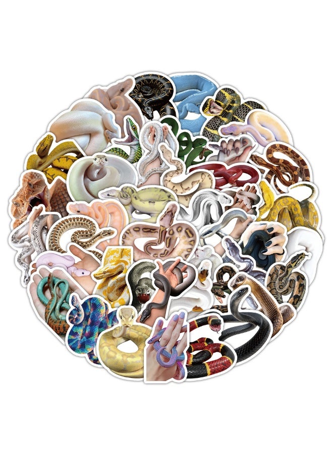 Snake Stickers 50pcs Cute Funny Reptile Animal Snake Stickers Pack Reusable Vinyl Waterproof Cartoon Graffiti Water Bottle Stickers for Kids Teens Boys Girls Adults Scrapbook Laptop Journal Decals - Image 1