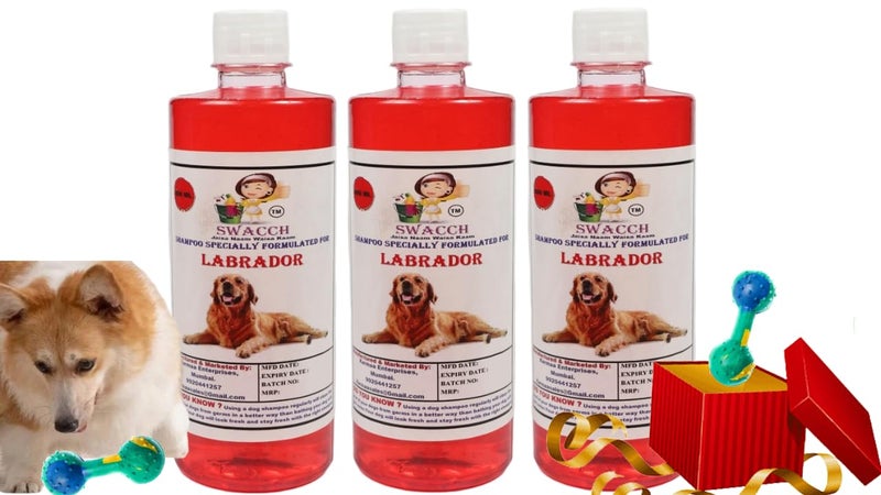 swacch Labrador Dog Shampoo + Dumbbell Toy I Durable Rubber Dog Toy for Chewing I Playing,Teeth Cleaning & Training Toy I Combo Pack I 500ml Pack 3 Strawberry - Image 1