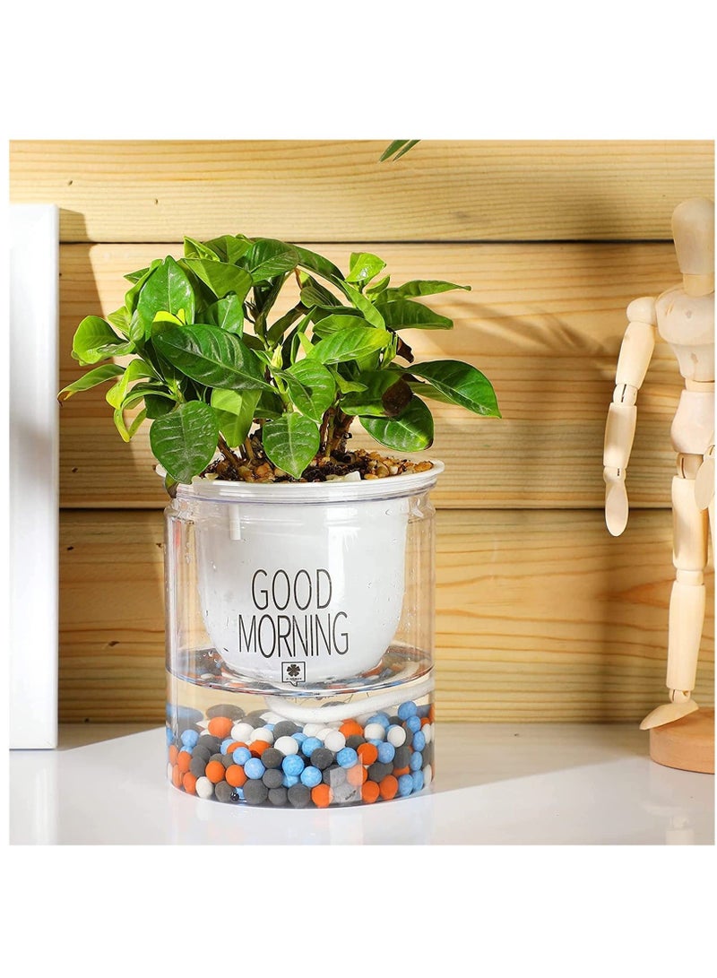 Captaintech Showerhead Mineral Beads, Filtration Shower Head Replacement Filter Ball Refills, Filter Purifying Water Beads, Diameter 5mm and 7mm, White, Blue, Black, Brown 4 Colors (500g) - Image 5