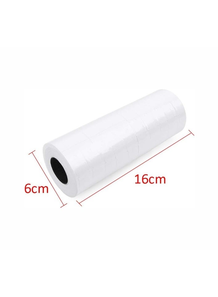 10 Rolls 5000 Pieces of Double Line White Price Stickers Price Label Paper for Price  Labeller