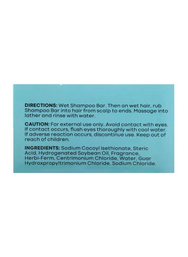 Hobe Labs Energizer Hydrating Shampoo Bar Beach Day 4 oz 113.4 g - Image 2