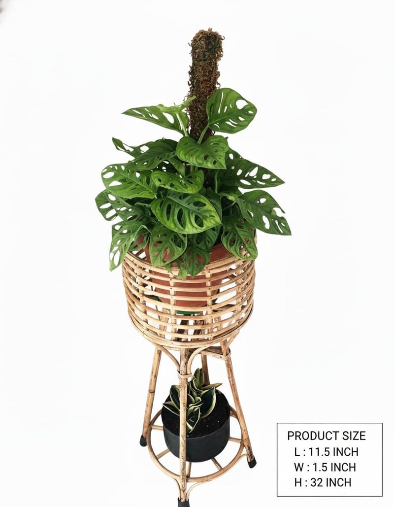 Avika Wood Cane Bamboo Planter Stand (32.5 In) - Indoor Outdoor Corner Flower Pot Holder for Living Room, Balcony & Garden Decor - Natural - Image 4
