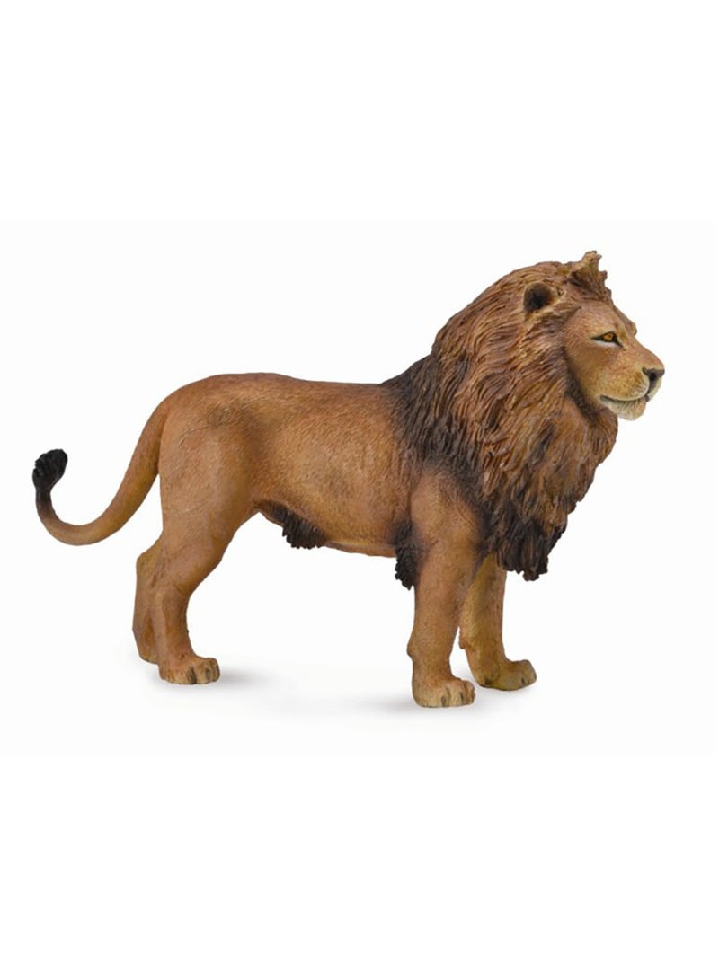 Collecta - African Lion - 88782