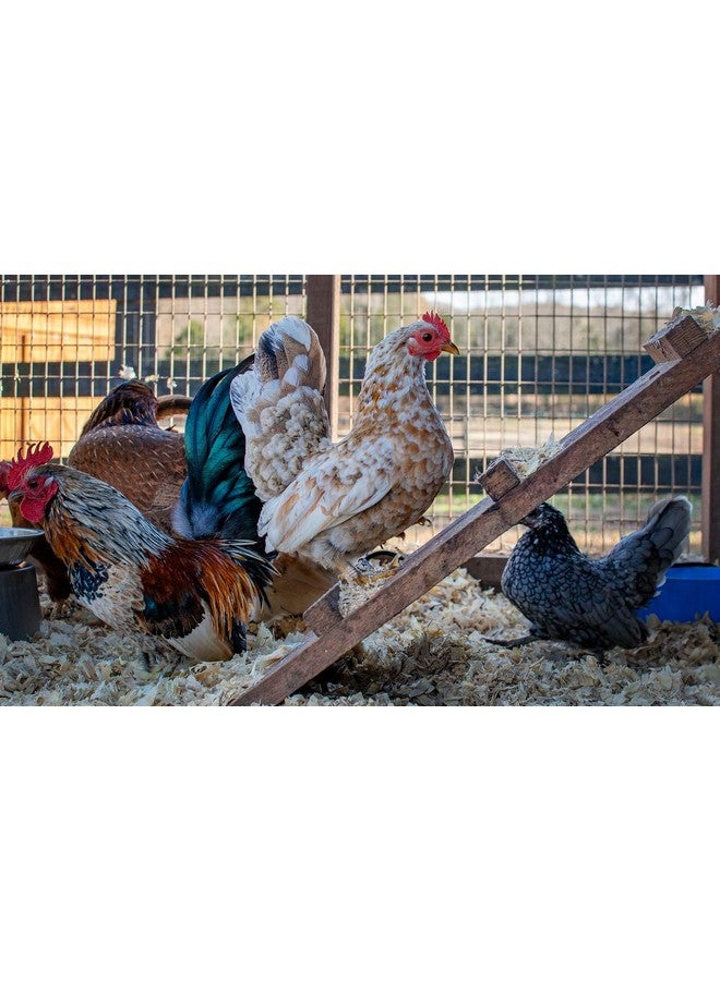 مانا برو مُعادل الروائح من مانا برو كوب آند كومبوست (عبوة من 3 قطع) - Image 4