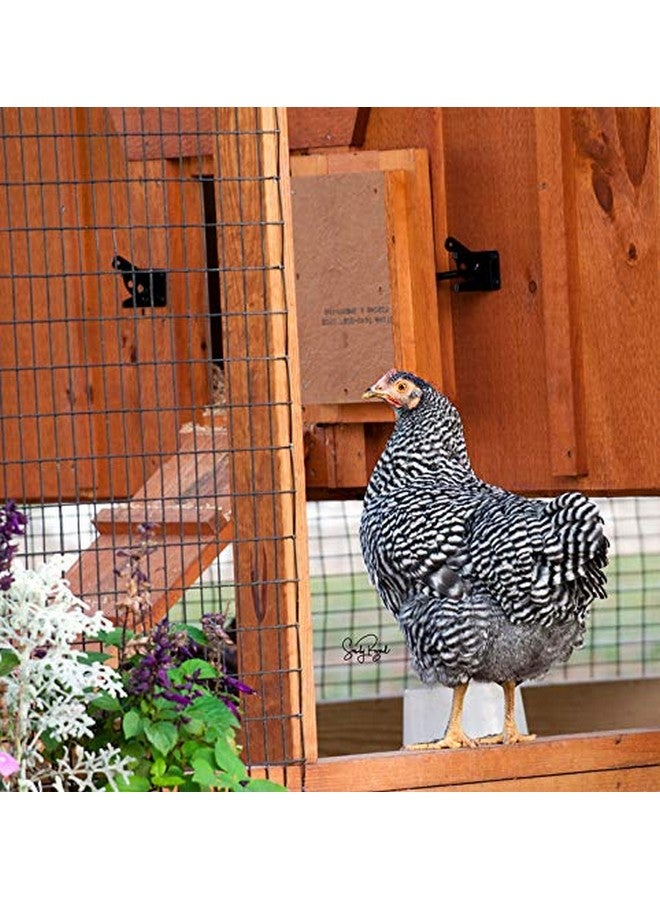 مانا برو مُعادل الروائح من مانا برو كوب آند كومبوست (عبوة من 3 قطع) - Image 5