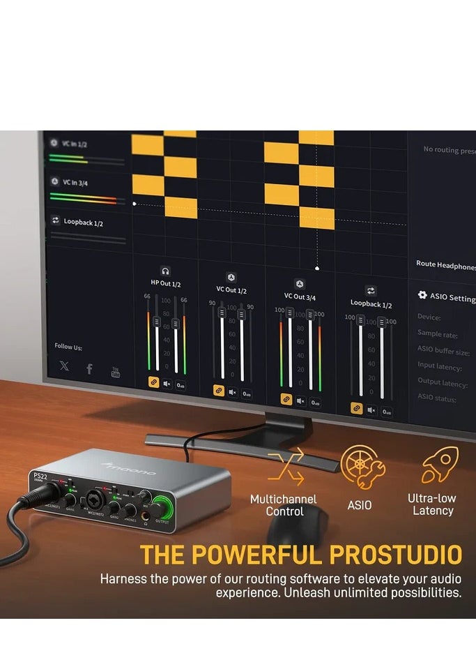 Maono PS22 Audio Interface for Recording, Music Production, Guitar (BLACK)