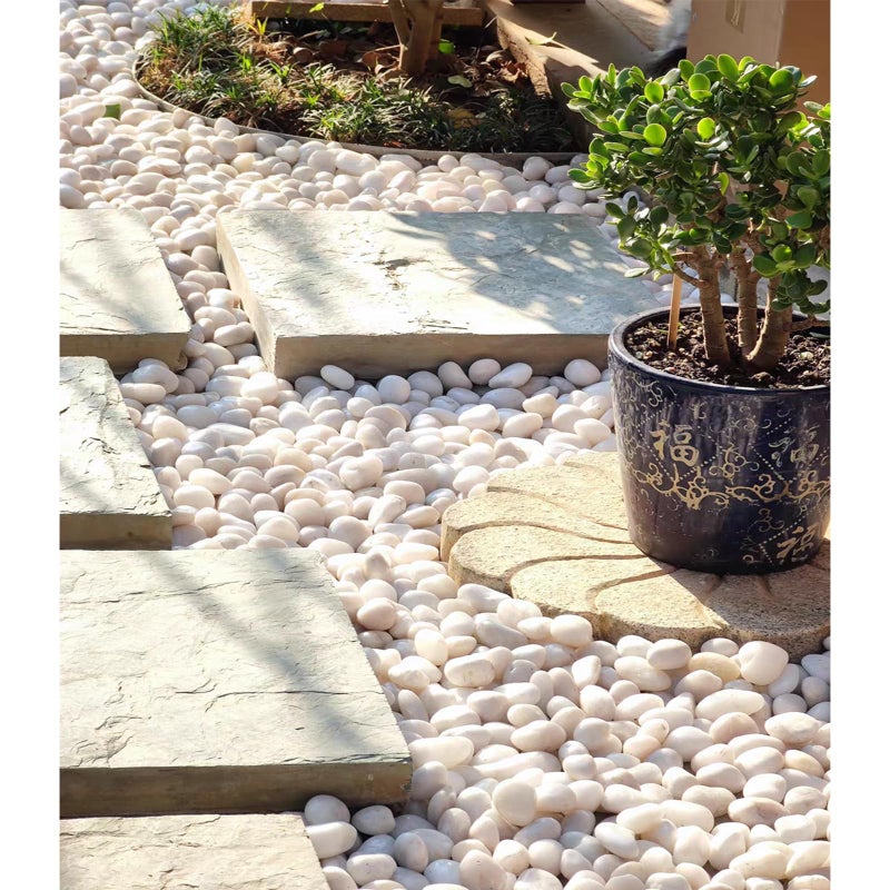 FANTIAN 20 lbs White River Rocks, 1-2 Inch Polished Pebbles for Indoor Plants, Decorative White Stones for Plants, Vase, Aquarium, Fish Tank, Landscaping and Garden - Image 4