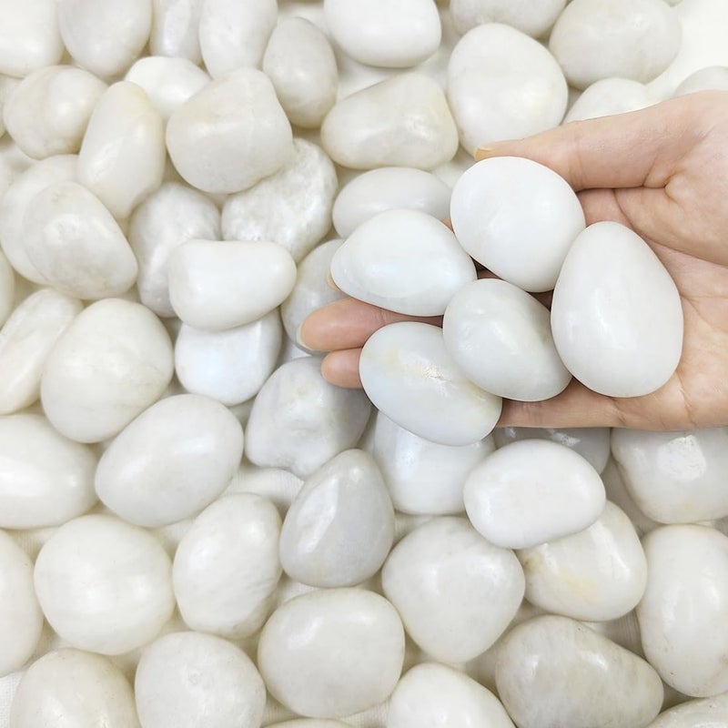 FANTIAN 20 lbs White River Rocks, 1-2 Inch Polished Pebbles for Indoor Plants, Decorative White Stones for Plants, Vase, Aquarium, Fish Tank, Landscaping and Garden - Image 1