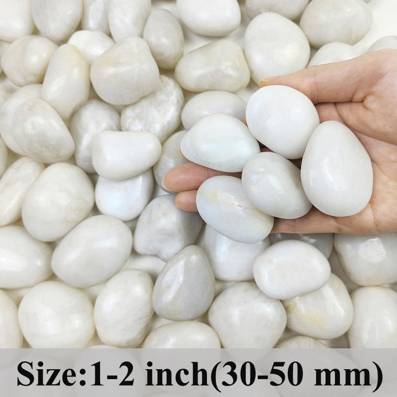 FANTIAN 20 lbs White River Rocks, 1-2 Inch Polished Pebbles for Indoor Plants, Decorative White Stones for Plants, Vase, Aquarium, Fish Tank, Landscaping and Garden - Image 2