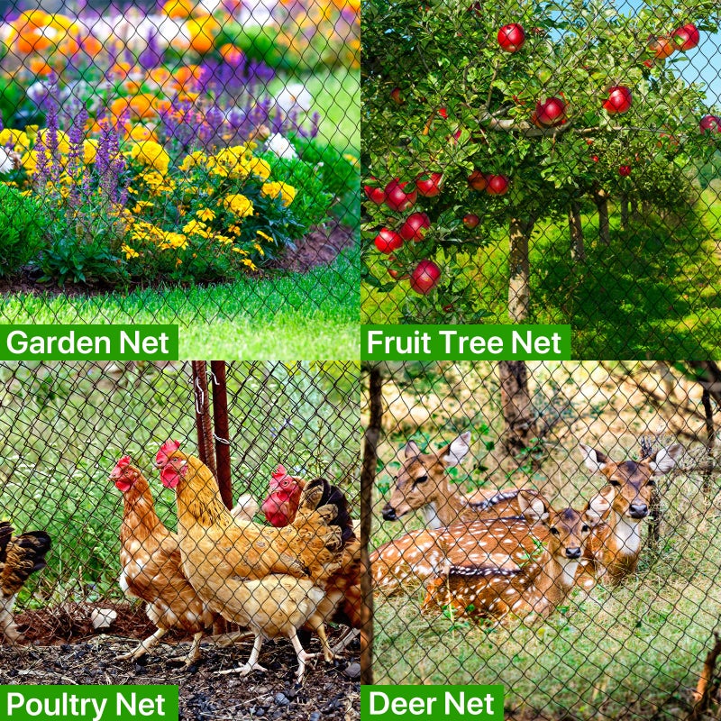 RYHBETH Bird Netting for Chicken Coop - 50x50ft Poultry Netting Over Chicken Run & Chicken Pen, Heavy Duty 2.4â€ Mesh Garden Net for Blueberry Bushes, Fruit Trees and Vegetable Against Birds, Deer, Squirrels - Image 3