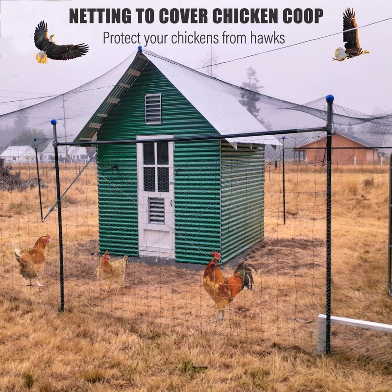 RYHBETH Bird Netting for Chicken Coop - 50x50ft Poultry Netting Over Chicken Run & Chicken Pen, Heavy Duty 2.4â€ Mesh Garden Net for Blueberry Bushes, Fruit Trees and Vegetable Against Birds, Deer, Squirrels - Image 2