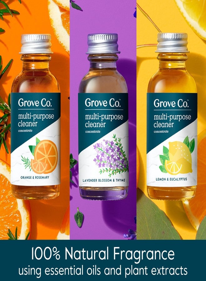 Grove Co. عبوات إعادة تعبئة منظف متعدد الأغراض من شركة غروف، 6 × 1 أونصة سائلة، عبوة متنوعة - Image 2
