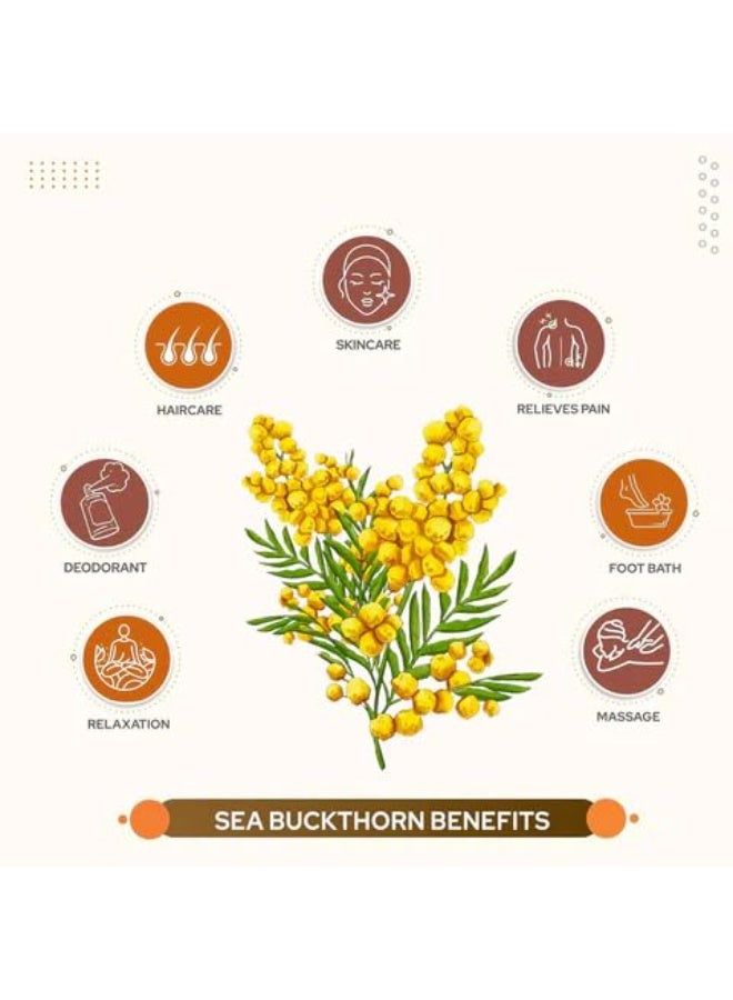Agrogreen Sea Buckthorn Berries 100 GM | Dry Sea Buckthorn Berries | Nourishes skin | Quality Source of Vitamins and Phytonutrients | - (100 GM) - Image 5