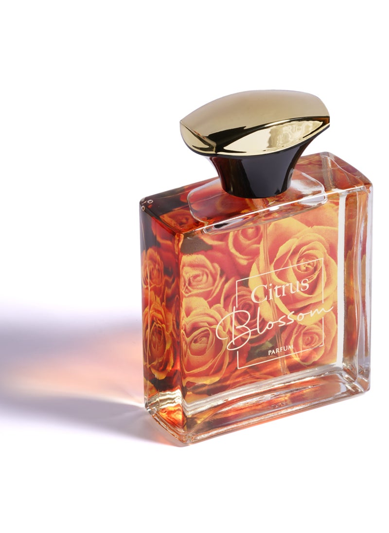 AMD Perfumes Spring Collection Citrus Blossom By AMD Perfumes Women Fragrance EDP 100ml  - Image 2