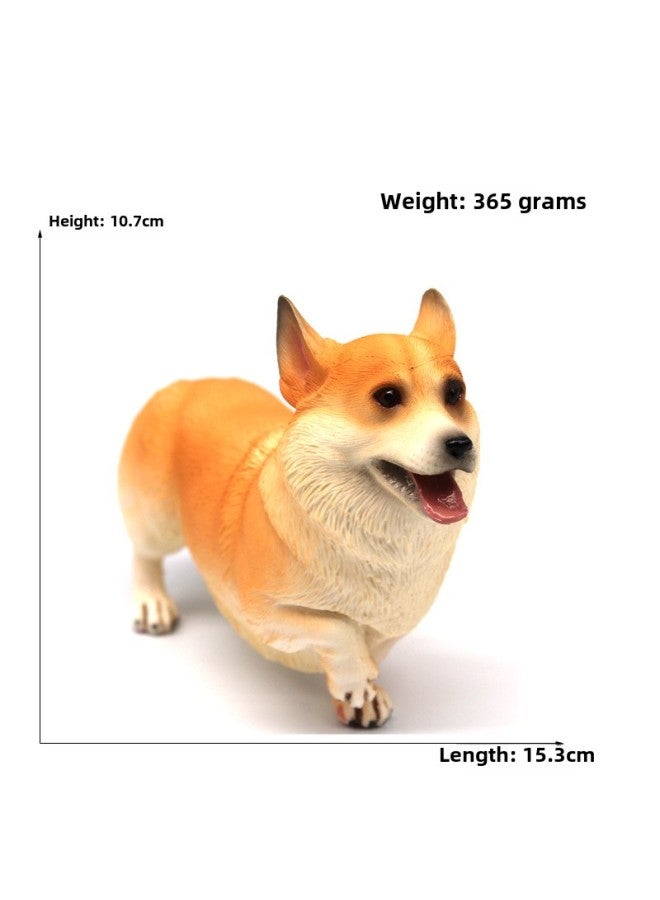 Animal Model Special For Teaching And Education Animal Model Kangaroo Elephant Lion Tiger Deer Ostrich Wolf-Color:894 Corgis (365g)  - Image 1