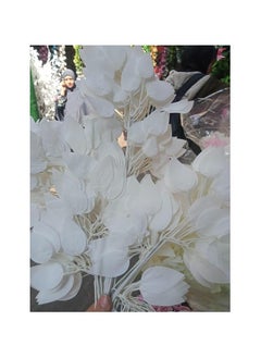 Generic Artificial plants that look natural, giving a natural beauty to the place. Suitable for homes, hotels, companies, cafes, schools and nurseries. 
