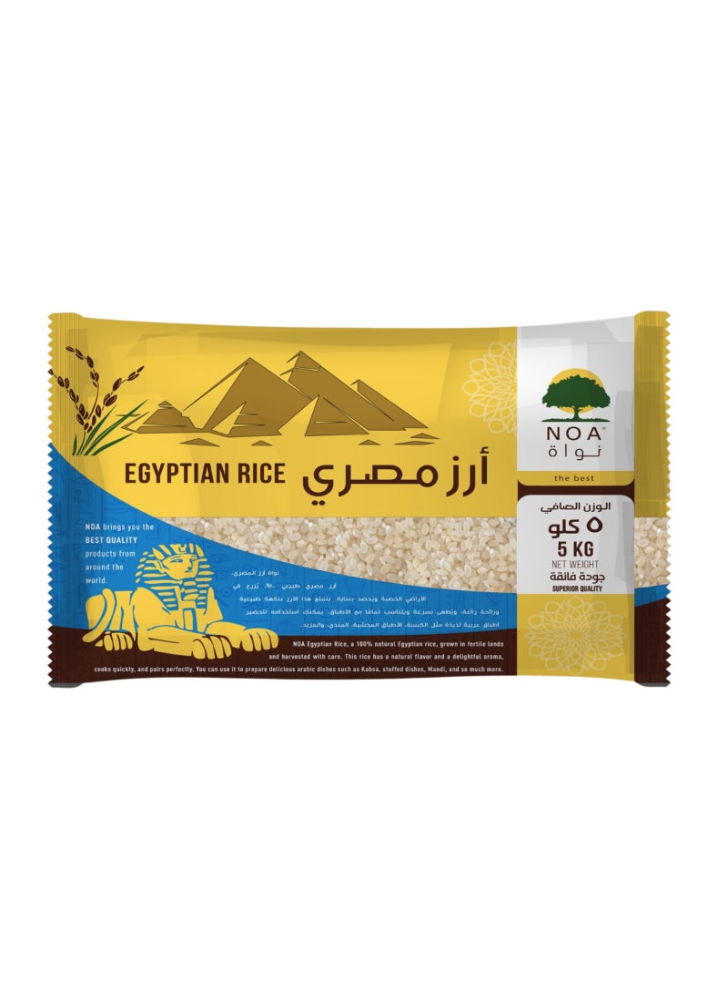 Noa الأرز المصري - Image 1
