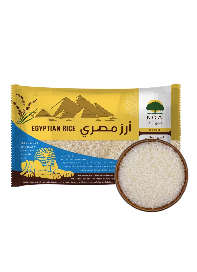 Noa الأرز المصري - Image 2